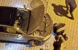 Araç motoruna sıkışan kedi kurtarıldı