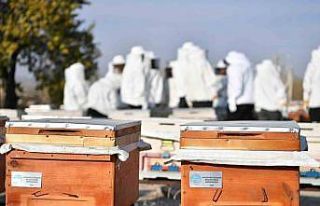 Arıcılık sektörüne nitelikle eleman yetişiyor