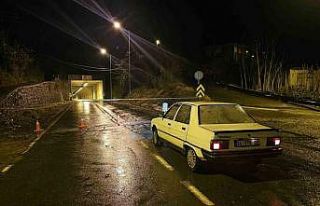 Artvin’de etkili olan fırtına nedeniyle bir ağaç...