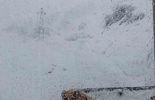 Artvin’de kar nedeniyle Camili bölgesi ve 6 köy...