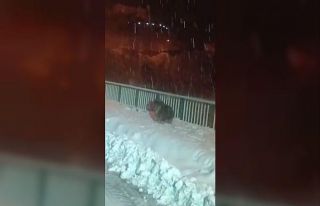 Artvin’de kar temizleme çalışması yapan ekipler...