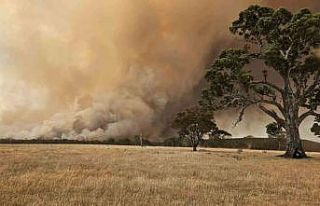 Avustralya’da orman yangını: 70 bin hektarlık...