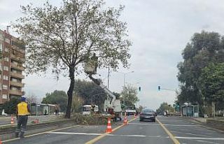 Aydın Büyükşehir Belediyesi’nden Denizli Bulvarı’nda...