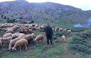 Aydın’da düzenlenen Yörük Çalıştayı’nın...