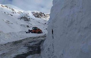 Bahçesaray yoluna düşen çığ bölgeleri temizleniyor