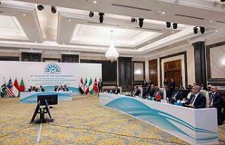 Bakan Fidan, Mısır’daki D-8 Dışişleri Bakanları...