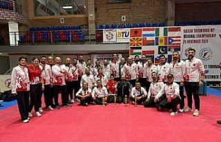 Balkan Taekwondo Şampiyonası’nda ikinci oldu