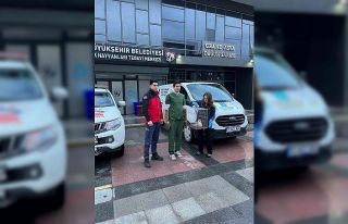 Bandırma’da ağaçta mahsur kalan ayağı kırık...