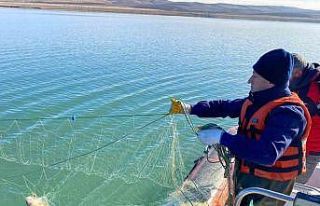 Barajda 4 kilometre uzunluğunda hayalet ağ çıktı,...
