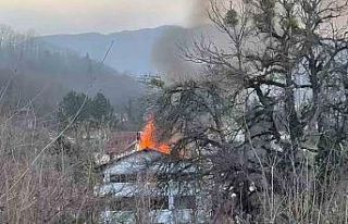Bartın’da yangın paniği