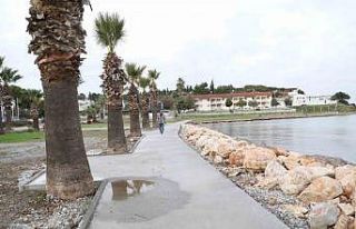 Başkan Gençay Sedef Koy Sahili’ne el attı