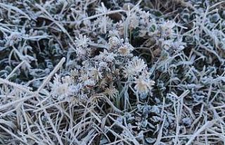 Batman’da kırağı etkisi görsel şölen oluşturdu