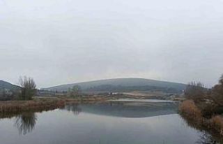 Beşgöller için önemli kararlar ve adımlar