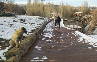 Beyaz gelinliğini giyen Muradiye Şelalesi ziyaretçilerini...