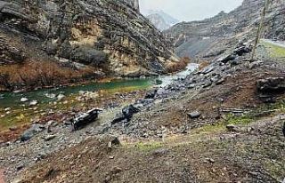 Beytüşşebap’ta kamyonet şarampole yuvarlandı:...