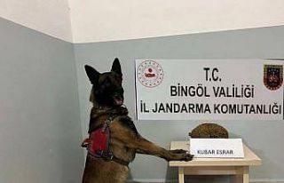 Bingöl’de uyuşturucu ve aranan şahıslara yönelik...