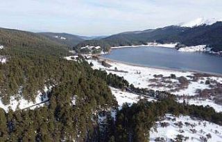 Bir yanı yeşil, bir yanı beyaz örtü