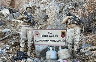 Bitlis’te terör örgütüne yönelik operasyon