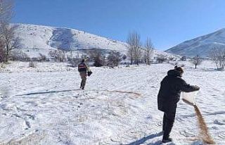 Bitlis’te yaban hayvanları için doğaya yem bırakıldı