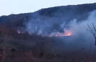 Bolu’daki örtü yangını kontrol altına alındı