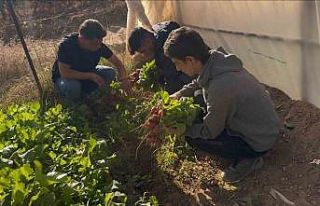 Bu okulda dersler tarlada işleniyor