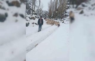 Burdur’da sürüsüyle birlikte mahsur kalan çoban...