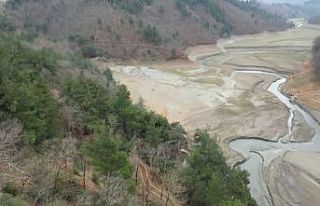 Bursa barajlarında korkutan tablo