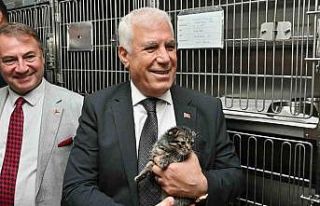 Bursa Büyükşehir’den can dostlara şefkat