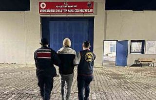 Büyükbaş hayvan hırsızlarını JASAT yakaladı