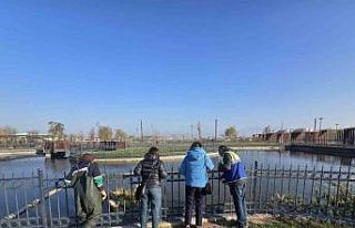 Büyükşehir’den Gökdere Millet Bahçesi’ne...