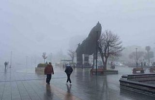 Çanakkale Boğazı sis nedeniyle transit gemi geçişlerine...