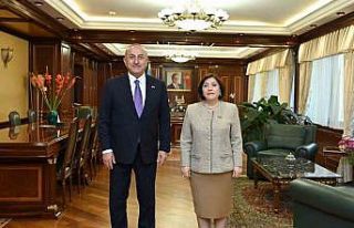 Çavuşoğlu, Azerbaycan Milli Meclis Başkanı Gafarova...