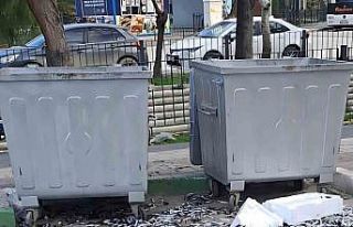 Çevre düşmanı bozuk balıkları yola döktü