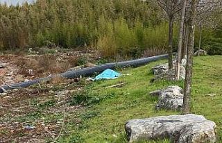 Denizde elleri ve ayakları bağlanmış erkek cesedi...