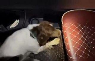 Denizli’de zehir tacirlerine operasyon: 5 tutuklama