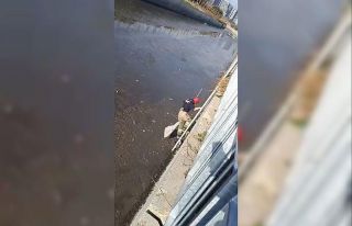 Dereye düşerek çamura saplanan kediyi itfaiye kurtardı