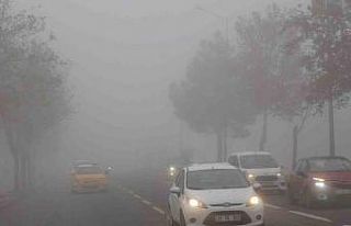 Diyarbakır’da hava ve kara ulaşımına sis engeli