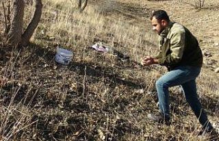 Doğunun kışın vazgeçilmez lezzeti meşe palamudu