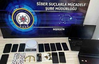 Dolandırıcılık şebekesi çökertildi: 6 tutuklama