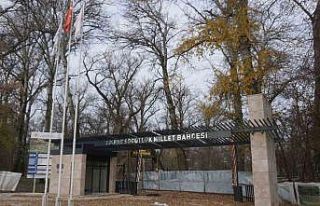 Edirne’de Meriç Nehri kenarındaki Millet Bahçesi’nde...