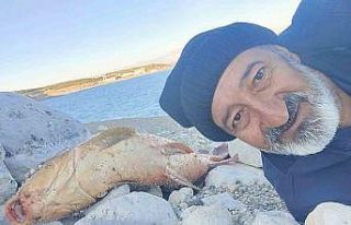 Elazığ’da amatör balıkçı 24 kiloluk sazan...