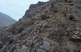 Elazığ’da dağ keçileri dronla görüntülendi