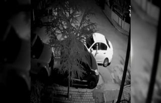 Elindeki cisimle araçları çizdi, rahat tavırları...