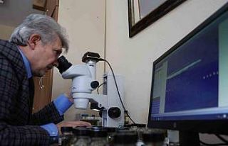 Fırat Üniversitesinden dünya çapında tıbbi sülük...