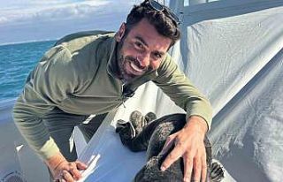 Fırtına mağduru yavru fok, el birliğiyle annesine...