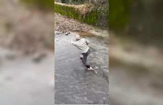 Fırtınada denizdeki kafesten kaçan balığı derede...