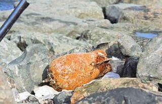 Fırtında dalgaların getirdiği deniz mühimmatı...