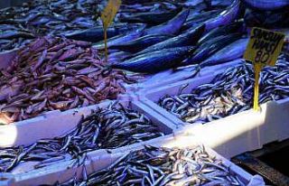 Fiyatı 80 TL’ye düşen hamsi kapış kapış