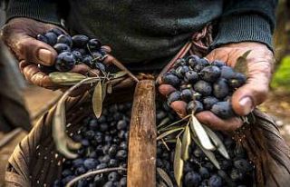 Gemlik’in en güzel fotoğraflarını belli oldu