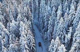 Genya Dağı’nda büyüleyici kış manzaraları...